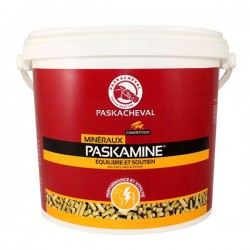 Paskamine